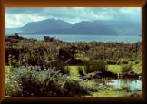 View of Arran from the garden of Ivy Rose Cottage, in Straad, Isle of Bute, Scotland.