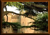 The Bishop's Palace, Wells, Somerset, England. The Bishop's Palace, Wells, Somerset, England.